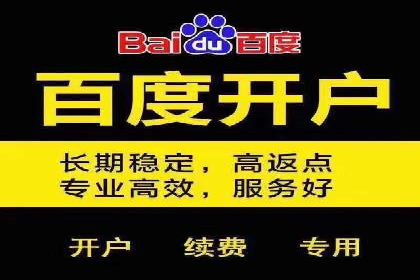 百度竞价推广代运营助力电商行业案例